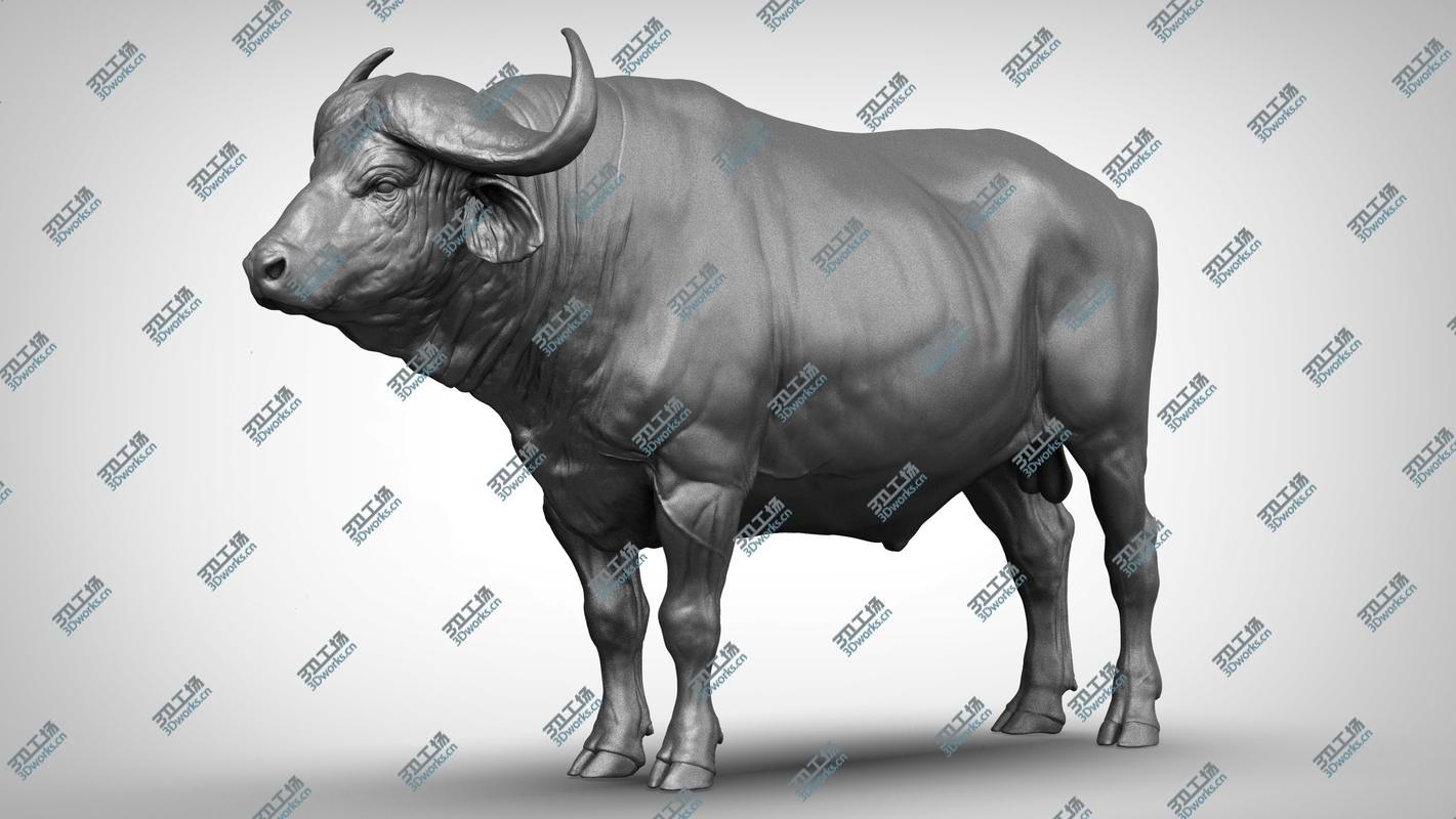 images/goods_img/20210319/3D African  buffalo - Black Cape model/5.jpg